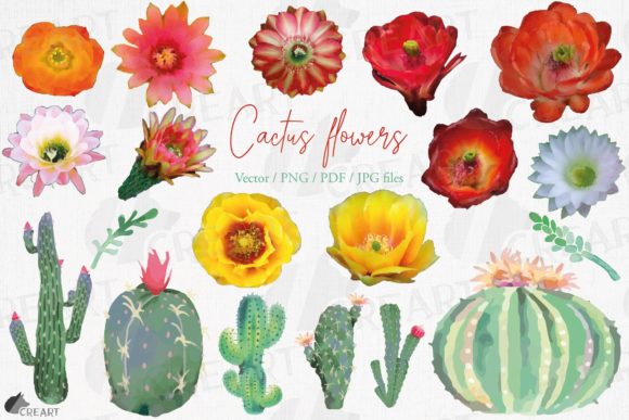 A Brand Designer's Take on Watercolor Cactus Graphics