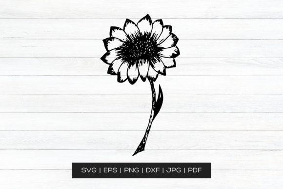 A Hand Drawn Sunflower for Graphics & Crafts