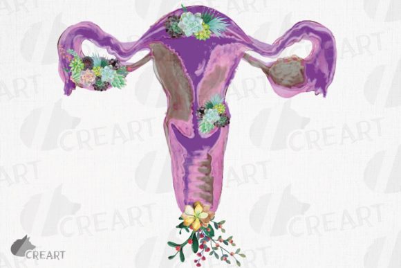 Crafting with a Watercolour Succulent Floral Reproductive System Graphic