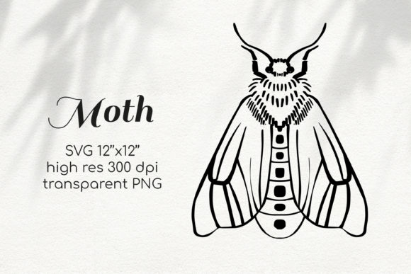 Moth Graphics for Illustrations and Digital Products