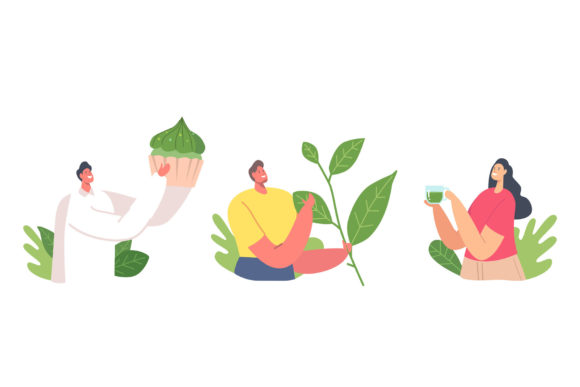 Why This Matcha Tea Graphic Set Stands Out for Projects